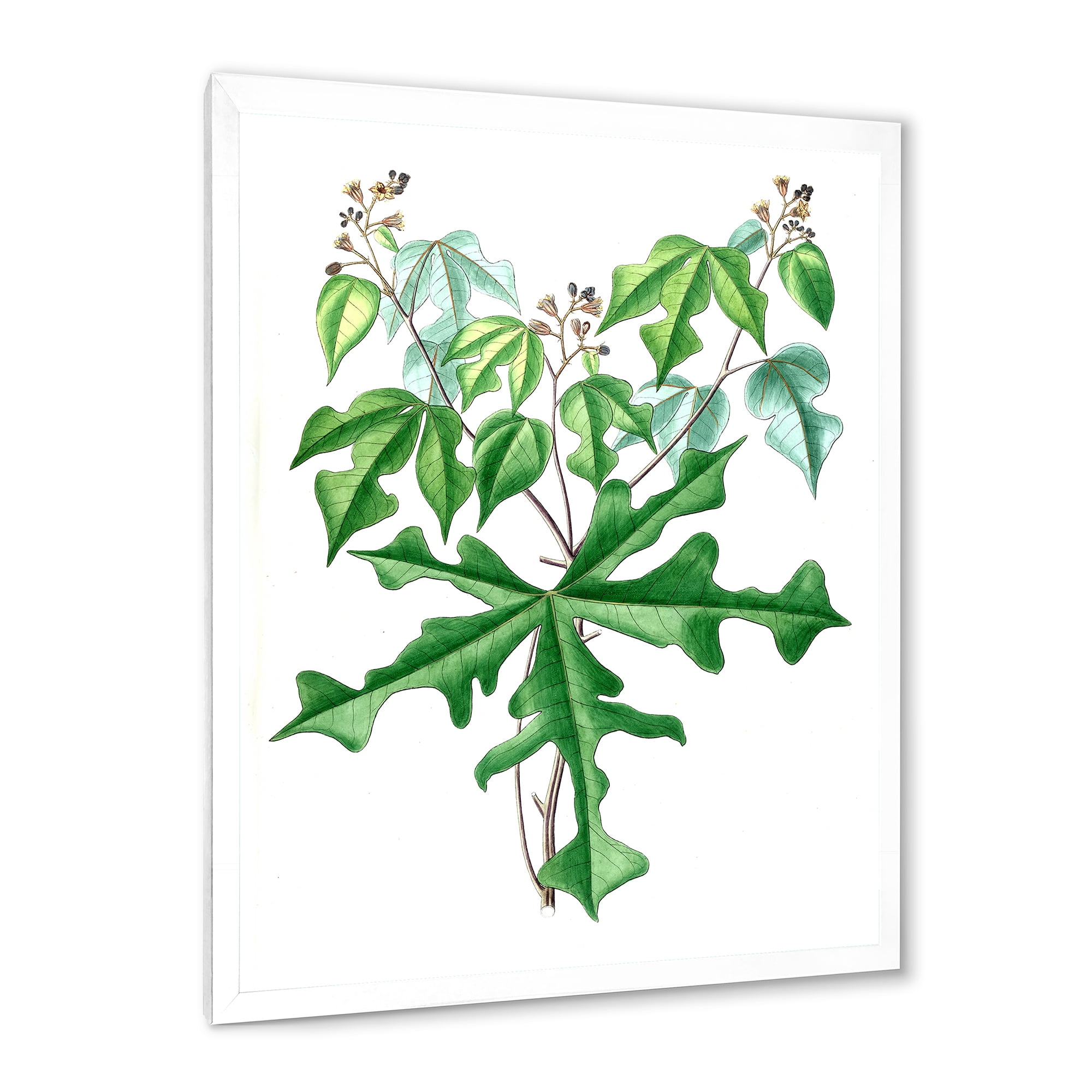 Designart 'Ancient Drawing of Wild Plants' Traditional Framed Art Print