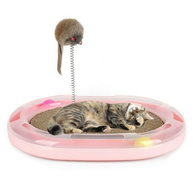 Griffoir pour Chat Planche à Gratter Créative avec Balle et Taquin