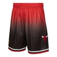 thumbnail image 2 of Men's Mitchell & Ness Red/Black Chicago Bulls 1995/96 Hardwood Classics Fadeaway Reload 3.0 Swingman Shorts, 2 of 4
