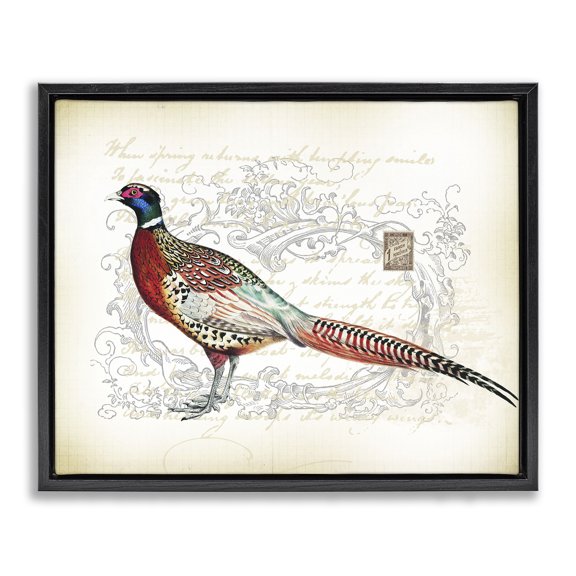 Stupell Industries Victorian Pheasant & Vintage Pattern Black Floating Frame Canvas Art, 21 x 17, by Lula Bijoux & co.