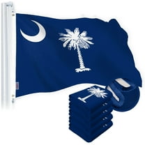 G128 5 Pack: South Carolina SC State Flag | 2x3 Ft | StormFlyer Series Embroidered 220GSM Spun Polyester | Embroidered Design, Indoor/Outdoor, Brass Grommets, Heavy Duty, All Weather
