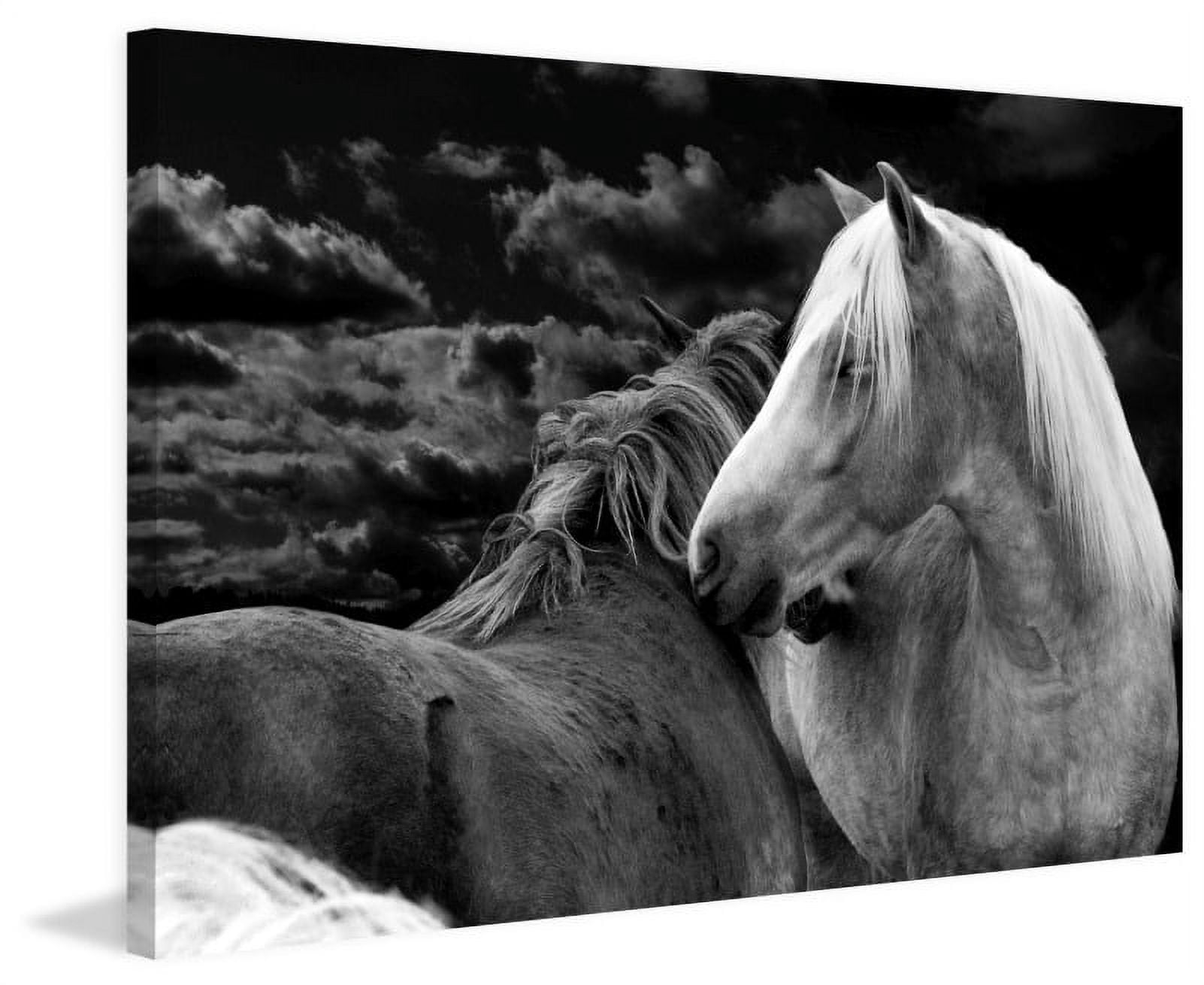 Marmont Hill "Night Love" by Maggie Dee Painting Print on Canvas