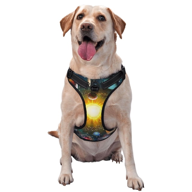 Balery Space Planet Arnés para Perros Grandes Antitirones, Arnés con Correa para Gato, Arnés Tipo Chaleco para Perros Pequeños-Large