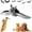 1PCS, variant on Flying Bat Dog Toy, Interactive Motion Activated Flapping Wing Plush Pet Toy with Remote Control for Halloween and Indoor Play