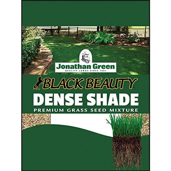 Jonathan Green JOG10600ITSC 40600 Dense Shade Grass Seed, 3 lb, 3-Pound