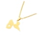 thumbnail image 1 of Collar con colgante de Guadalupe Sonducket Acero Inoxidable Mapa de Francia, 1 of 6