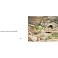 thumbnail image 4 of À Propos des Oiseaux, Cathryn Sill Paperback, 4 of 5