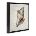 thumbnail image 2 of Stupell Industries Traditional Conch Shell over Vintage Map Black Floating Frame Canvas Art, 18 x 18, by Conrad Knutsen, 2 of 7
