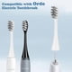 thumbnail image 2 of 2026 10Pcs Replacement Brush Heads Compatible with Ordo Sonic Electric Toothbrush for Ordo Replacement Toothbrush Heads, Black, 2 of 5