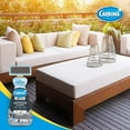 thumbnail image 4 of Carbona Pro Care Non-Scented Oxy Powered Outdoor Cleaner Foam, 22 oz, 2 Ct, 4 of 6