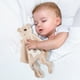 thumbnail image 2 of Manta de seguridad para bebés con sonajero mordedor Toalla relajante para bebés Peluche para recién nacidos Peluche suave y sensorial, 2 of 5