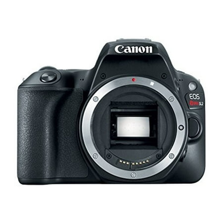 Canon EOS Rebel SL2 DSLR Camera (Black, Body