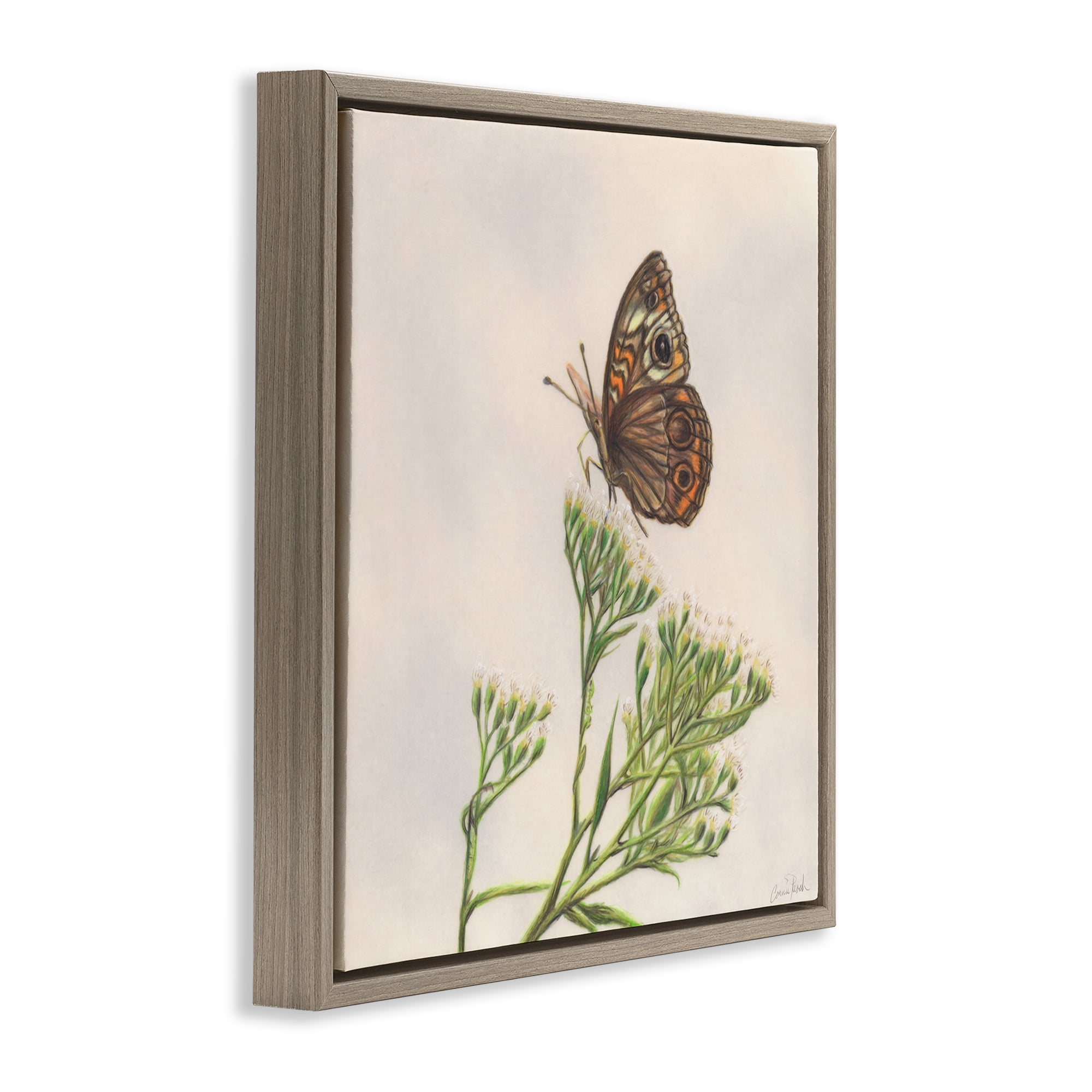 Stupell Industries Spring Offerings Butterfly Animals & Insects Painting Brown Floater Framed Canvas Art Print Wall Art, 18 x 18