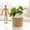 Jute Mixed White, variant on RibRave Jute Rope Plant Basket Small Woven Storage Baskets for Up to 7" Planter, 8" x 8" Decorative Plant Pot Cover Woven Planter Basket Laundry Baskets with Handles Modern Home Décor