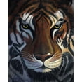 thumbnail image 2 of Cole, Jan 20x24 Black Ornate Wood Framed with Double Matting Museum Art Print Titled - Tiger Stare, 2 of 4