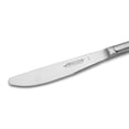 thumbnail image 2 of ARCOS Rounded 4 inch Steak Knife for Cutting and Fillet Meat. Monoblock Stainless Steel Blade and Handle, 2 of 5