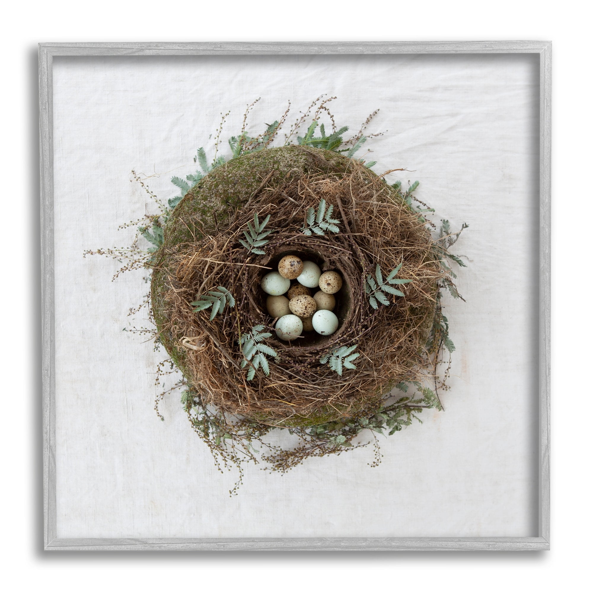 Stupell Industries Peaceful Bird Nest Speckled Eggs Nature Photography Photograph Gray Framed Art Print Wall Art, Design by Tania Soderman