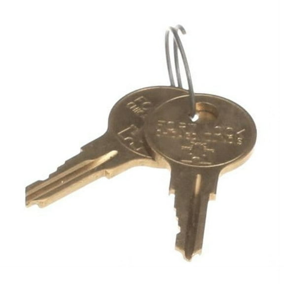Keys for Refrigerator - Set of 2