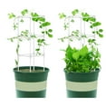 thumbnail image 3 of Conector de jaulas de soporte para plantas de jardín, soporte de vid, marco para plantas trepadoras (40 cm), 3 of 5