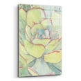 thumbnail image 2 of Epic Art 'Succulent Bloom 2' by Stellar Design Studio, Acrylic Glass Wall Art, 24"x36", 2 of 8