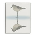 thumbnail image 4 of Stupell Industries Tranquil Sandpiper Bird Reflection Shallow Beach Shoreline Graphic Art Gray Framed Art Print Wall Art, Design by Ziwei Li, 4 of 5