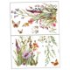 thumbnail image 4 of 2 pegatinas de pared florales de , calcomanías de flores, pegatinas de pared de , decoración del hogar para superficies de madera,, 4 of 9