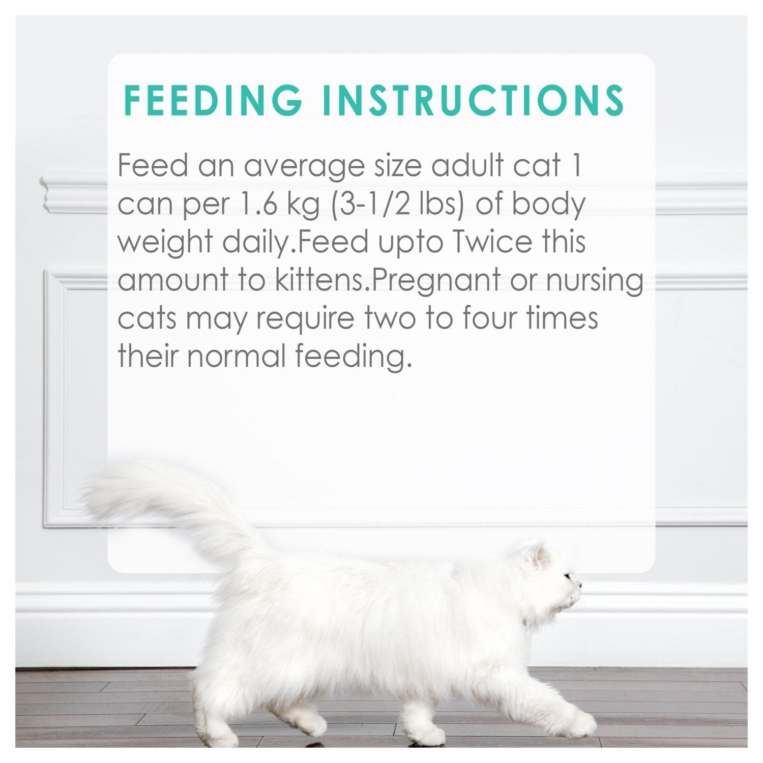 Fancy Feast Pate Salmon & Shrimp, Wet Cat Food 85g, 85g