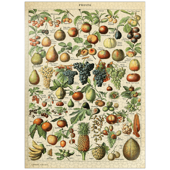 MyPuzzle - Fructus - Fruits For All, Vintage Art Poster, Adolphe Millot - Premium 1000 Piece Jigsaw Puzzle for Adults