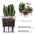 thumbnail image 5 of Juego de Macetas con Autorriego, Paquete de 6 Macetas con Autorriego de 5 Pulgadas para Plantas de Interior, Maceta Transparente con Profundidad para Plantas Araña, 5 of 5
