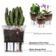 thumbnail image 5 of Juego de Macetas con Autorriego, Paquete de 6 Macetas con Autorriego de 5 Pulgadas para Plantas de Interior, Maceta Transparente con Profundidad para Plantas Araña, 5 of 5