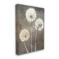 thumbnail image 2 of Stupell Industries Fluffy Dandelion Plants Wildflower Botanical Blooms Graphic Art Gallery Wrapped Canvas Print Wall Art, Design by Kim Allen, 2 of 5