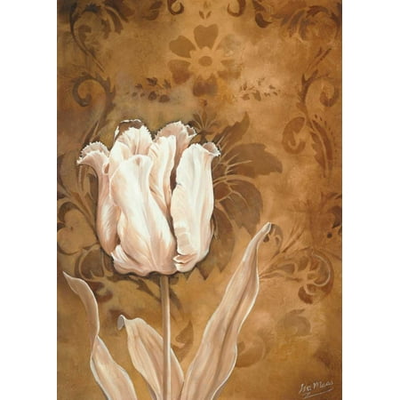 Tulip beauty I Stretched Canvas - Isa Maas (20 x