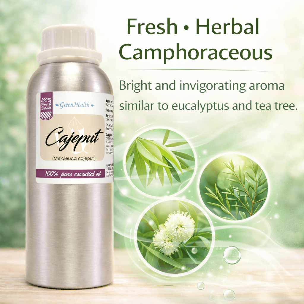 Cajeput Essential Oil 8 fl oz – 100% Pure Melaleuca Cajuputi – Aromatherapy Diffuser Oil – Aluminum Bottle w/ Locking Cap – Soap & Candle Making – GreenHealth