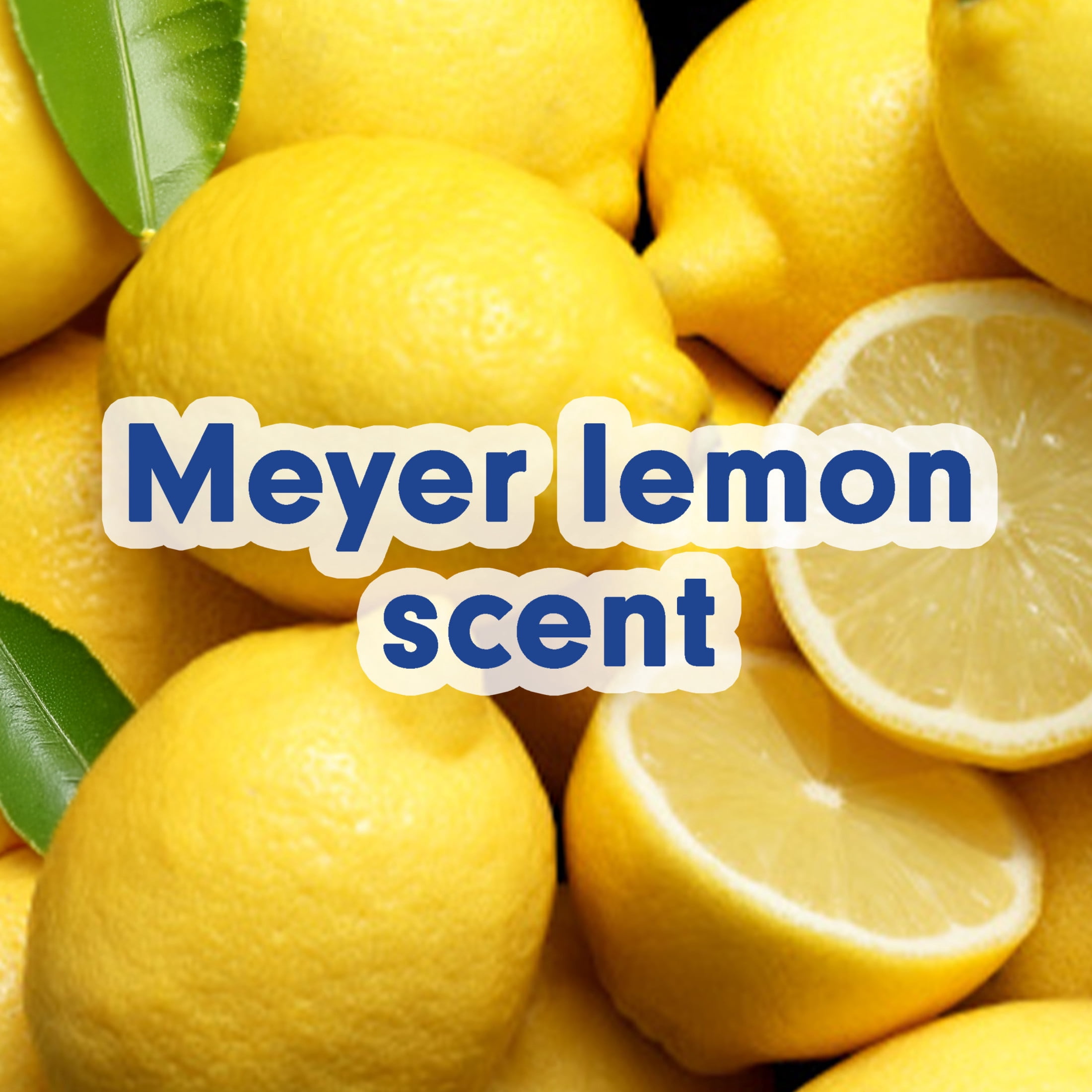 (6 pack) Softsoap Limited Edition Liquid Hand Soap, Meyer Lemon Scent, 7.5 fl oz Pump Bottle