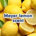 thumbnail image 3 of Softsoap Limited Edition Liquid Hand Soap, Meyer Lemon Scent, 7.5 fl oz Pump Bottle, 3 of 13