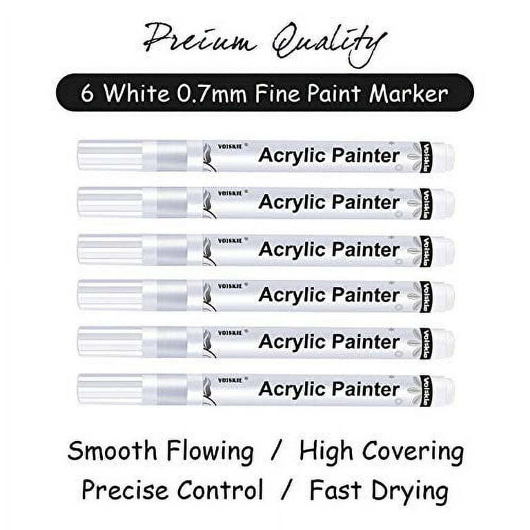 Unbox & Demo: Dyvicl White Paint Pens, Acrylic Markers (6 pack) for Fabric,  Rock Painting, etc 