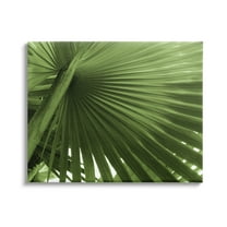 Stupell Industries Green Tropical Leaf Botanical & Floral Photography Gallery Wrapped Canvas Print Wall Art, 40 x 30