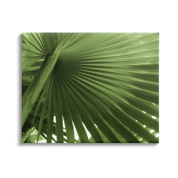 Stupell Industries Green Tropical Leaf Botanical & Floral Photography Gallery Wrapped Canvas Print Wall Art, 20 x 16