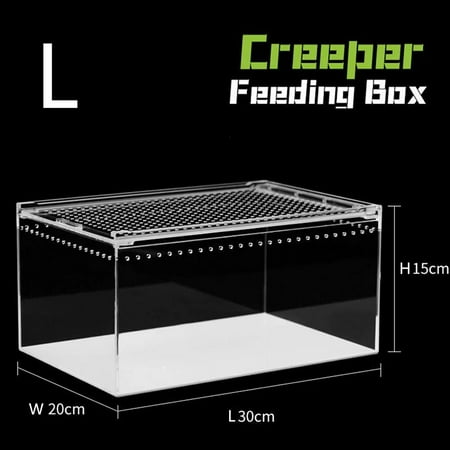 NOVELAR Acrylic Reptile Terrarium, 15.74x9.84x7.87 in, Spacious Pet Habitat with Excellent Visibility, for Creating Natural Environments