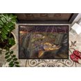thumbnail image 3 of Carolines Treasures JMA2004MAT Tapis Snook Intérieur Ou Extérieur 18 x 27 Po., 3 of 4
