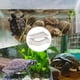 thumbnail image 3 of Bebedero Para Reptiles, Estanque Antideslizante Para Tortugas, Plato Para Bañar Mascotas, Base Extraíble Para Facilitar La Limpieza, Bebedero Estable Para Serpientes Y Lagartos., 3 of 9