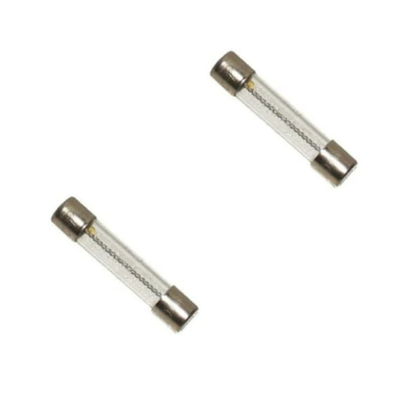 Hot Tub 10 Amp Replacement Fuse Bussagc10 (2 pieces)
