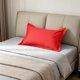 thumbnail image 4 of Funda de Almohada Refrescante para Personas Que Suelen Sudar Por La Noche: Funda de Almohada Transpirable de Terciopelo Suave de Tamaño Completo con Tejido Termorregulador, Alivia La Sudoración Noctu, 4 of 6
