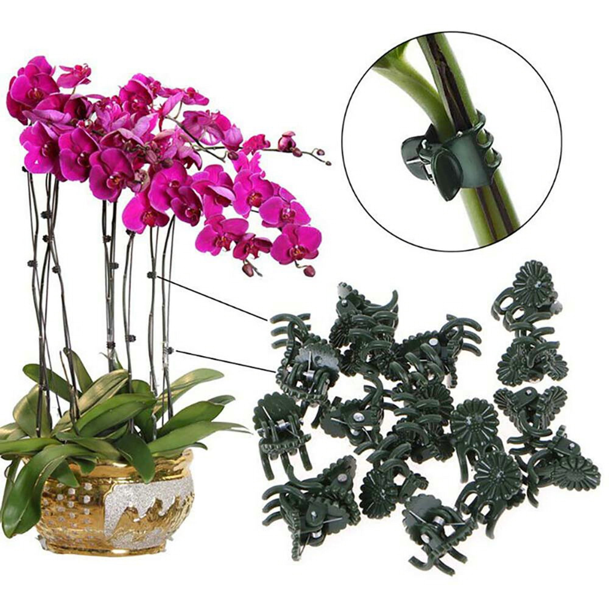 Reusable Fixed Plant Clips Flower Vine Tomato Support Clip Garden Spring Tools d 