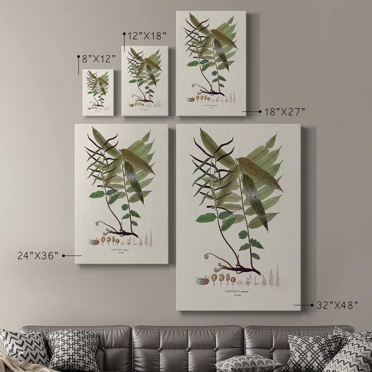 Botanical Society Ferns VI Premium Gallery Wrapped Canvas - Ready to Hang