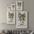 thumbnail image 4 of Botanical Society Ferns VI Premium Gallery Wrapped Canvas - Ready to Hang, 4 of 9