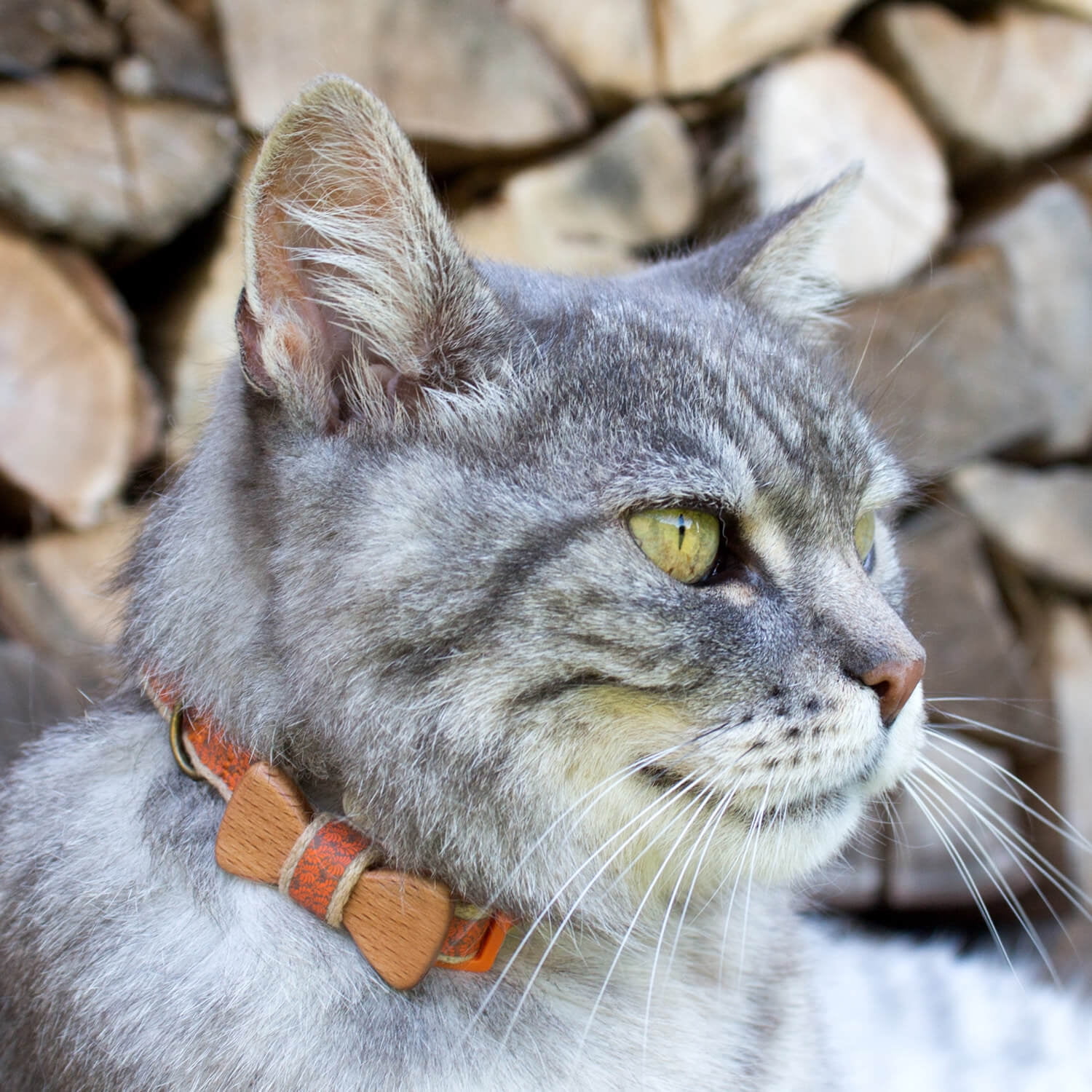 Pettsie hotsell cat collar