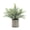 Dragon beard grass potted plant, variant on Mini Potted Plants Artificial Eucalyptus Boxwood Rosemary Faux Herbs Small House Plants 8.3"-9" Tall for Indoor Greenery Tabletop Décor Centerpiece (Sprayed Eucalyptus)