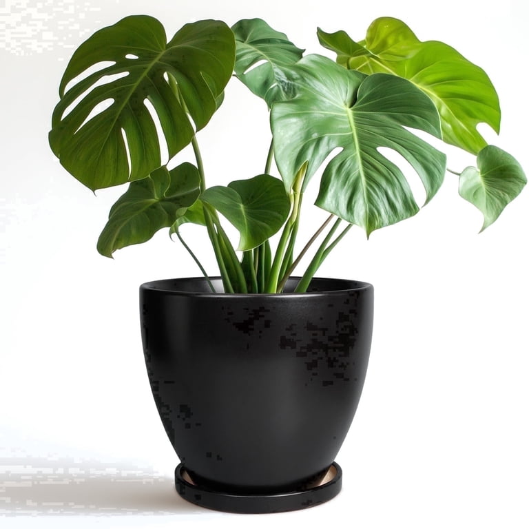Ordivic 8" Black Ceramic Round Planter with Saucer photo 1