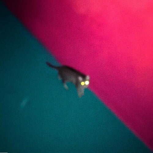 !!! - Wallop - Music & Performance - Vinyl